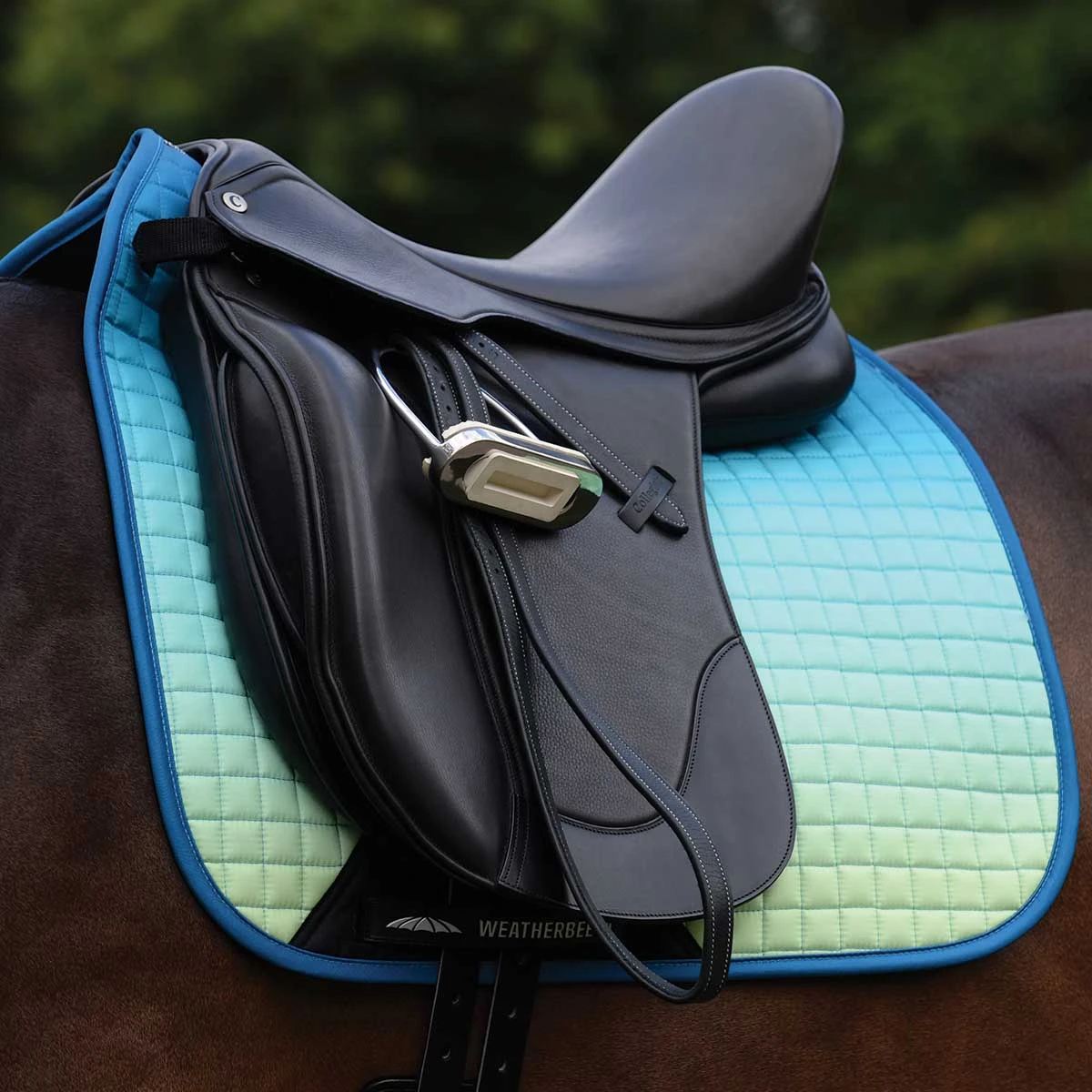 Weatherbeeta Prime Ombre Dressage Saddle Pad 7 Weatherbeeta Prime Ombre Dressage Saddle Pad - Image 7