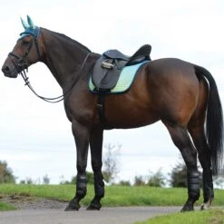 Weatherbeeta Prime Ombre Dressage Saddle Pad 14 Weatherbeeta Prime Ombre Dressage Saddle Pad -Finish Line Horse Shop 1002677w c1168 alt1