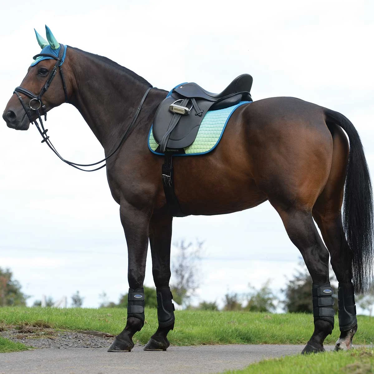 Weatherbeeta Prime Ombre Dressage Saddle Pad 6 Weatherbeeta Prime Ombre Dressage Saddle Pad - Image 6