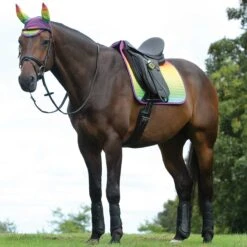 Weatherbeeta Prime Ombre Dressage Saddle Pad 17 Weatherbeeta Prime Ombre Dressage Saddle Pad -Finish Line Horse Shop 1002677w c1332 alt1