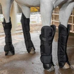 Finish Line Horse Shop -Finish Line Horse Shop 100811t c1105 alt1