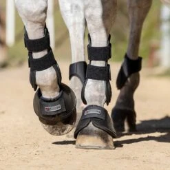 Finish Line Horse Shop -Finish Line Horse Shop 687cbb c1105