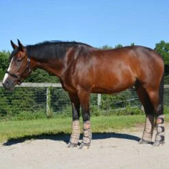 5/A Baker Transport Boots Set Of 4 13 5/A Baker Transport Boots Set Of 4 -Finish Line Horse Shop 7073j c1316 alt1