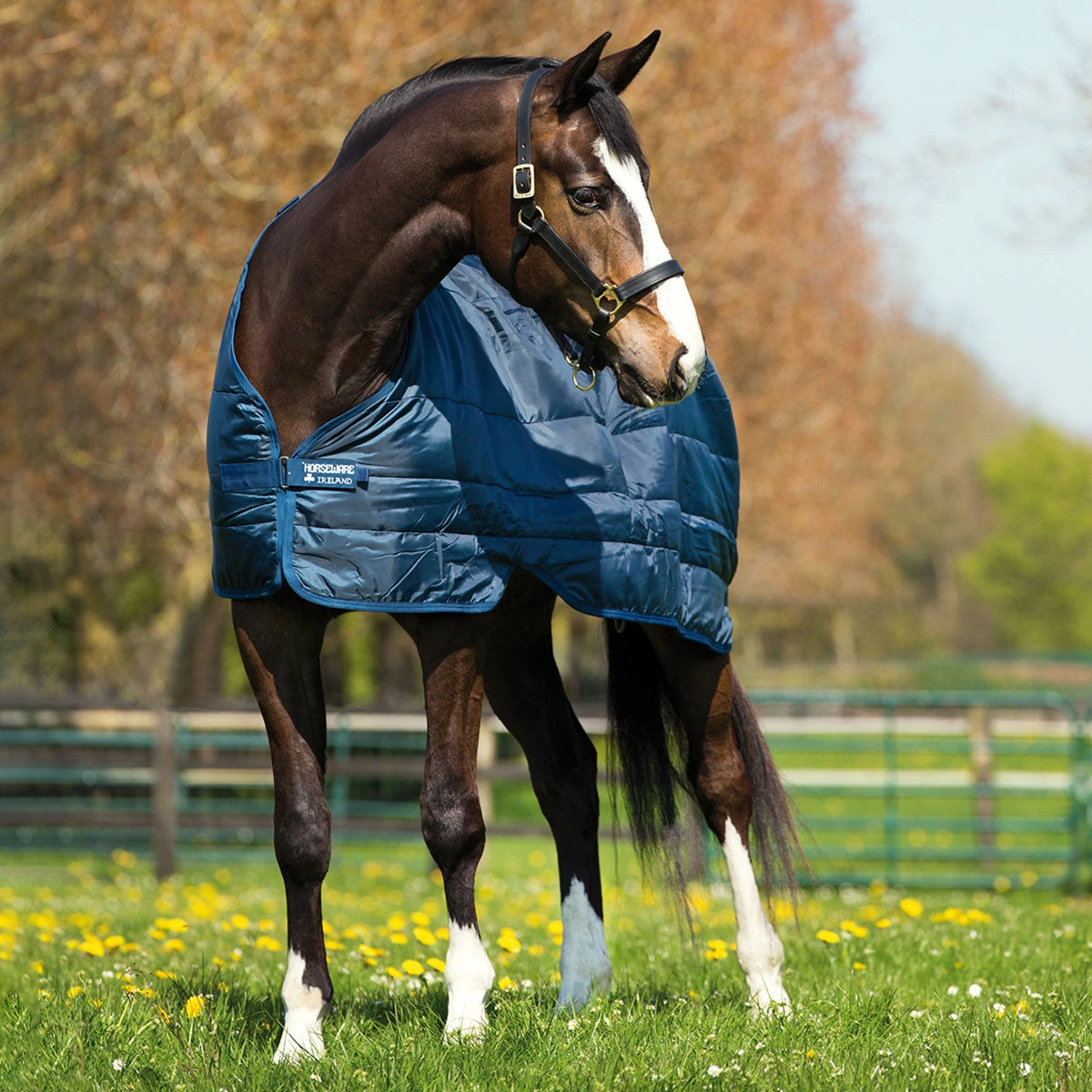 Horseware Ireland Horseware Blanket Liner 200g 1 Horseware Ireland Horseware Blanket Liner 200g