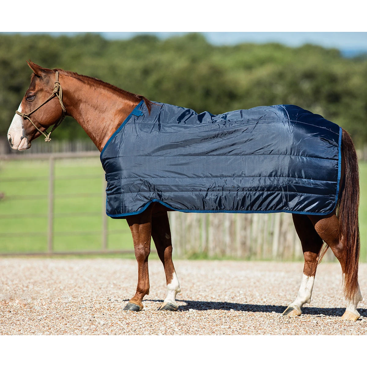 Horseware Ireland Horseware Blanket Liner 200g 3 Horseware Ireland Horseware Blanket Liner 200g - Image 3