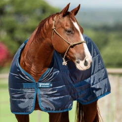 Horseware Ireland Horseware Blanket Liner 200g 10 Horseware Ireland Horseware Blanket Liner 200g -Finish Line Horse Shop abad62 c1146 alt2