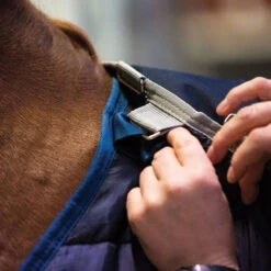 Horseware Ireland Horseware Blanket Liner 200g 12 Horseware Ireland Horseware Blanket Liner 200g -Finish Line Horse Shop abad62 c1146 alt4