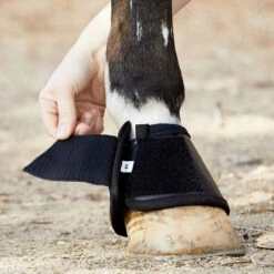 BSB Bell Sport Boots 16 BSB Bell Sport Boots -Finish Line Horse Shop bsb c1105 alt4