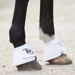 BSB Bell Sport Boots 15 BSB Bell Sport Boots -Finish Line Horse Shop bsb c1172