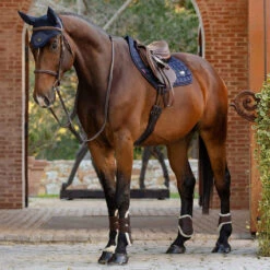 LeMieux Loire Satin Close Contact Pad 10 LeMieux Loire Satin Close Contact Pad -Finish Line Horse Shop it01213005 c1146 alt1