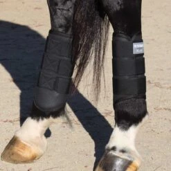 Finish Line Horse Shop -Finish Line Horse Shop pmxcr c1105