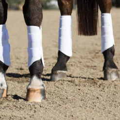 Professionals Choice Pro Performance Elite XC Boots Hind -Finish Line Horse Shop pmxcr c1172